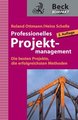 Professionelles Projektmanagement