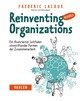 Reinventing Organizations visuell