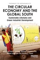 The Circular Economy and the Global South