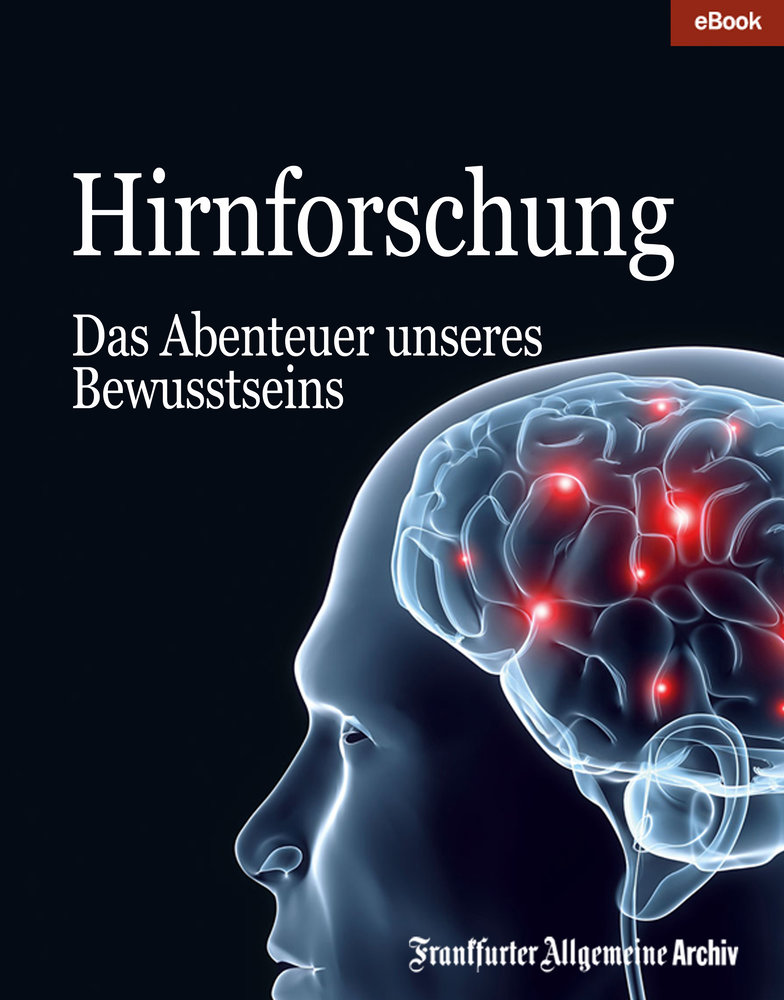 Hirnforschung