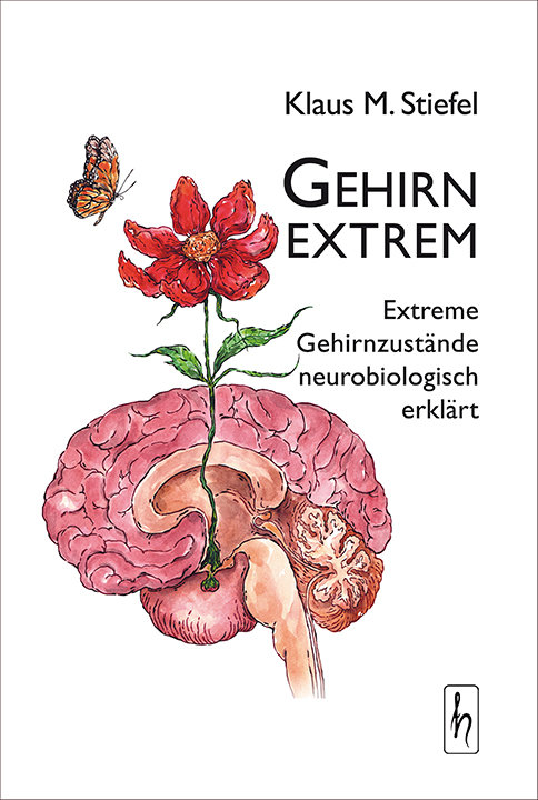 Gehirn extrem