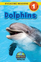 Dolphins