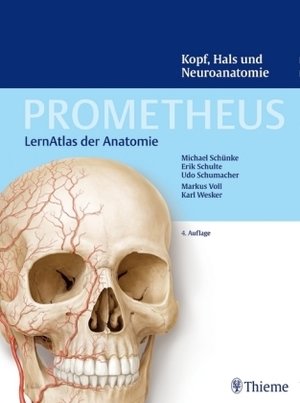 Kopf, Hals und Neuroanatomie - Prometheus