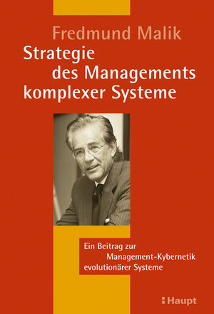 Strategie des Managements komplexer Systeme