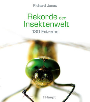 Rekorde der Insektenwelt