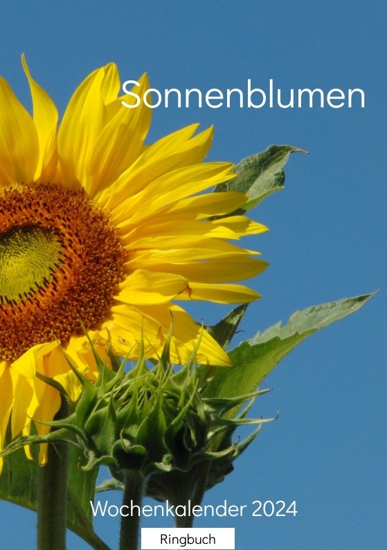 Sonnenblumen