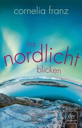 Ins Nordlicht blicken