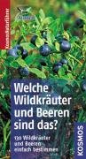 Welche Wildkräuter und Beeren sind das?