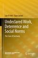 Undeclared Work, Deterrence and Social Norms