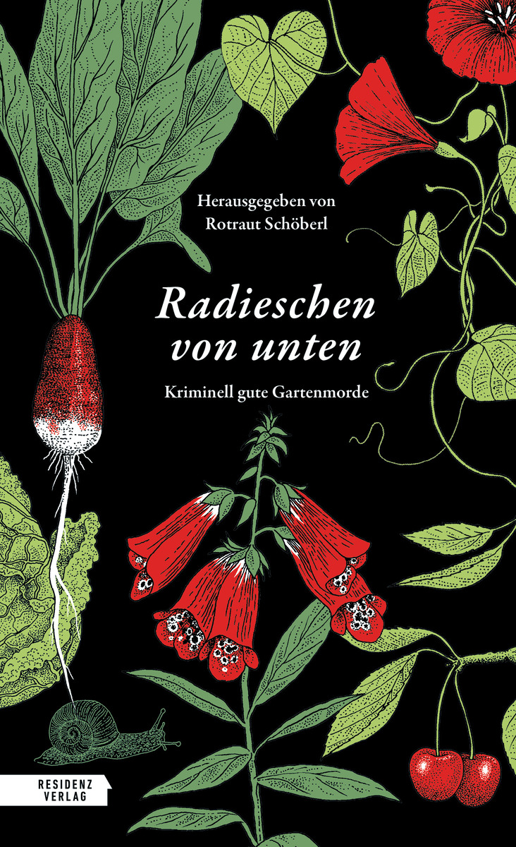 Radieschen von unten