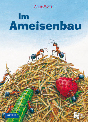 Im Ameisenbau