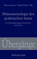 Phänomenologie des praktischen Sinns