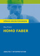 Max Frisch 'Homo faber'