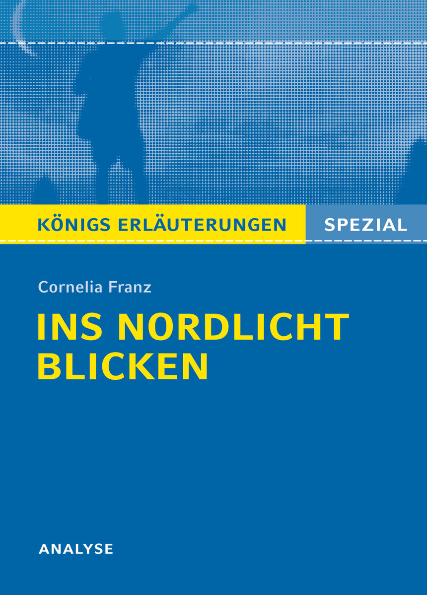 Cornelia Franz 'Ins Nordlicht blicken'