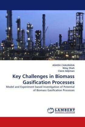 Key Challenges in Biomass Gasification Processes