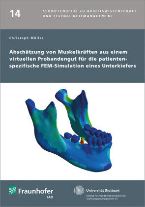 Abschätzung von Muskelkräften aus einem virtuellen Probandengut für die patientenspezifische FEM-Simulation eines Unterk