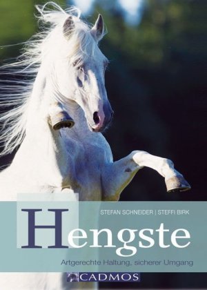 Hengste