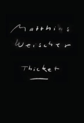 Matthias Weischer: Thicket