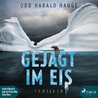 Gejagt im Eis, 2 Audio-CD, 2 MP3