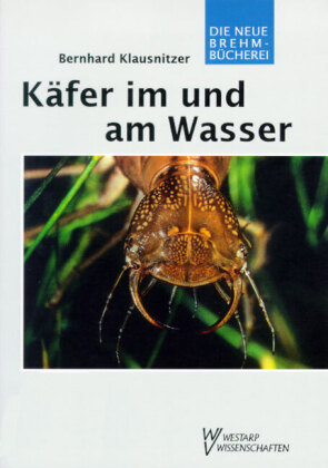 Käfer im und am Wasser