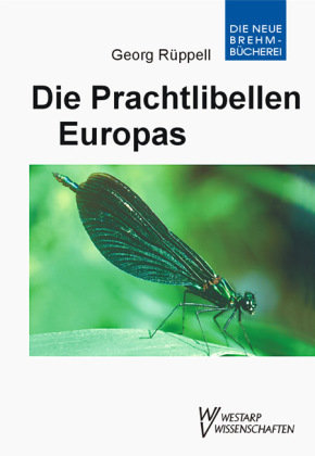 Die Prachtlibellen