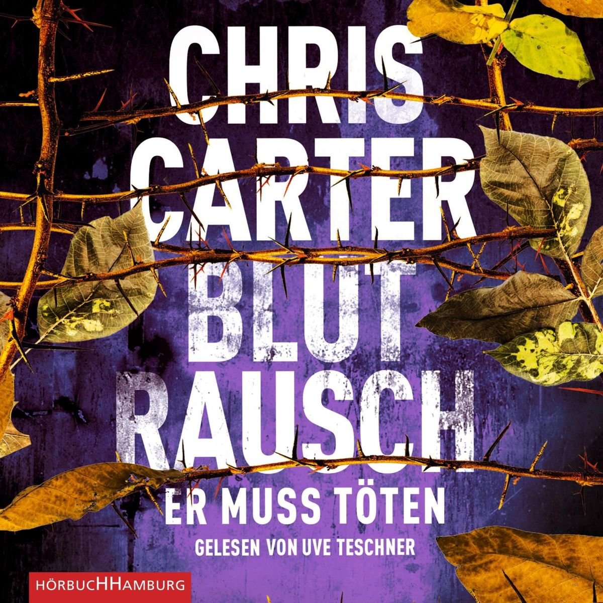 Blutrausch - Er muss töten (Ein Hunter-und-Garcia-Thriller 9), 2 Audio-CD, 2 MP3