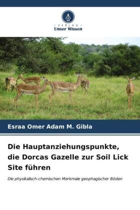 Die Hauptanziehungspunkte, die Dorcas Gazelle zur Soil Lick Site führen